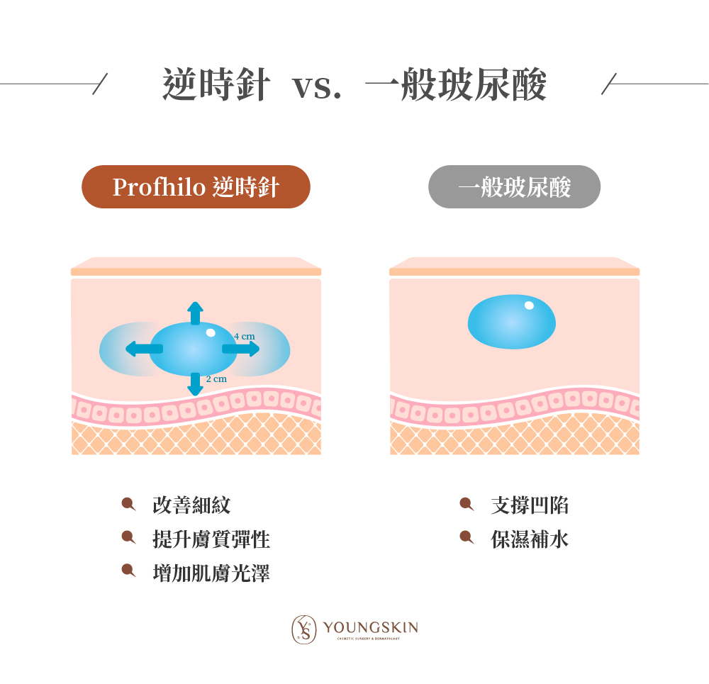 認識膠原蛋白與彈力蛋白 