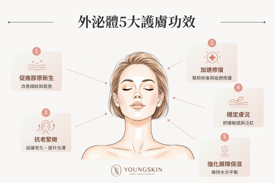 外泌體5大護膚功效